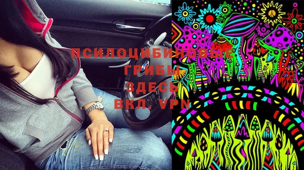 бошки Зеленокумск