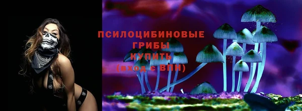 МДПВ Зеленодольск